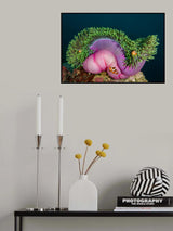 Three is company Poster och Canvastavla