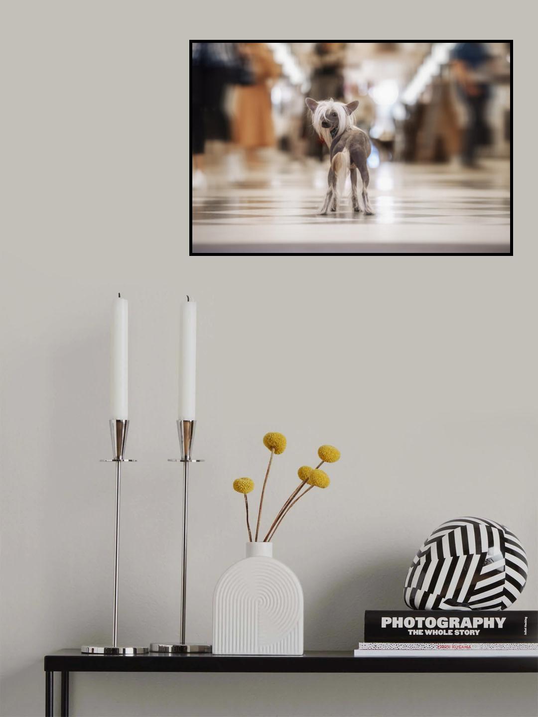Sophisticated - Mondän Poster och Canvastavla