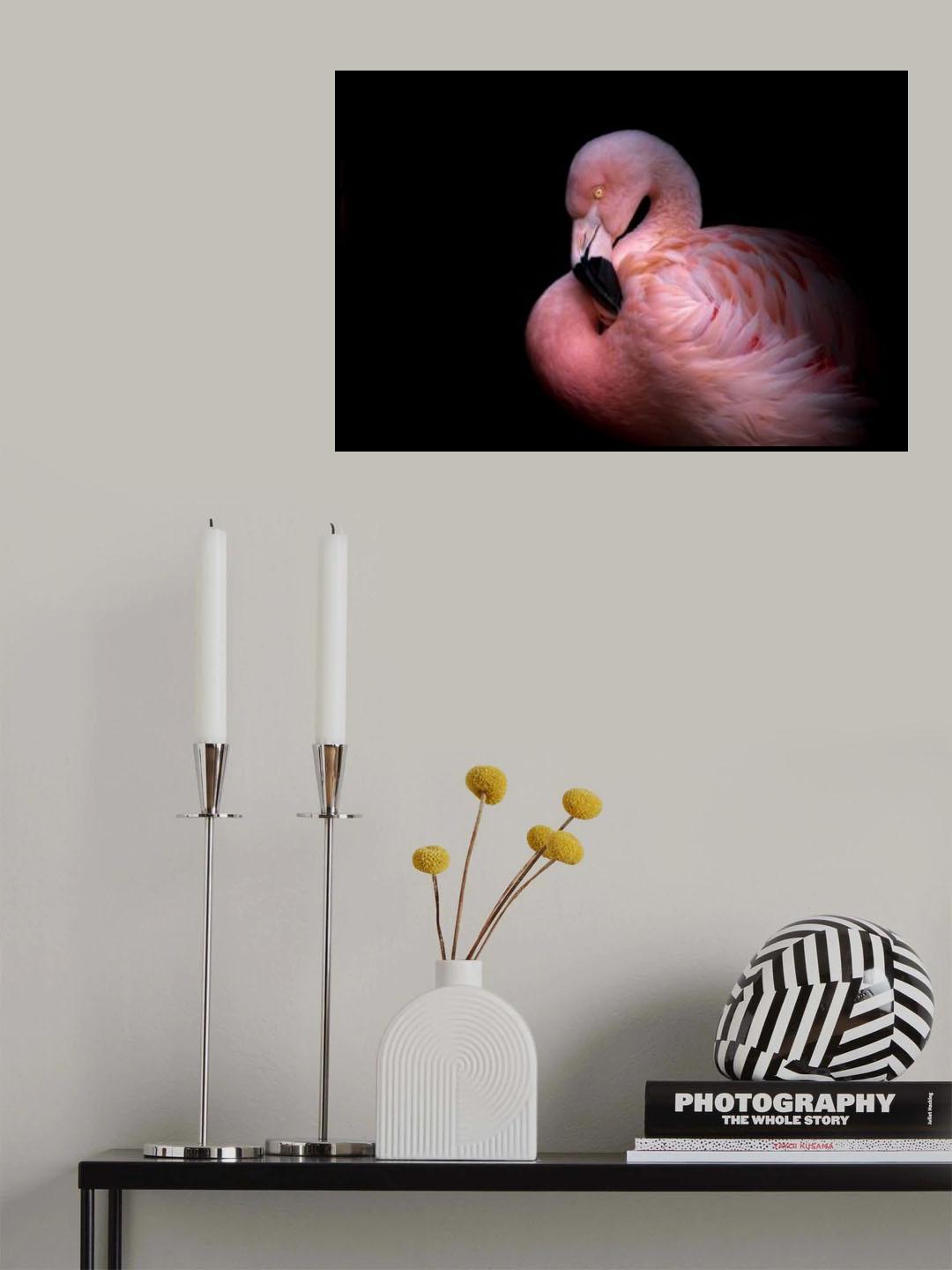 Flamingo in the Dark Poster och Canvastavla