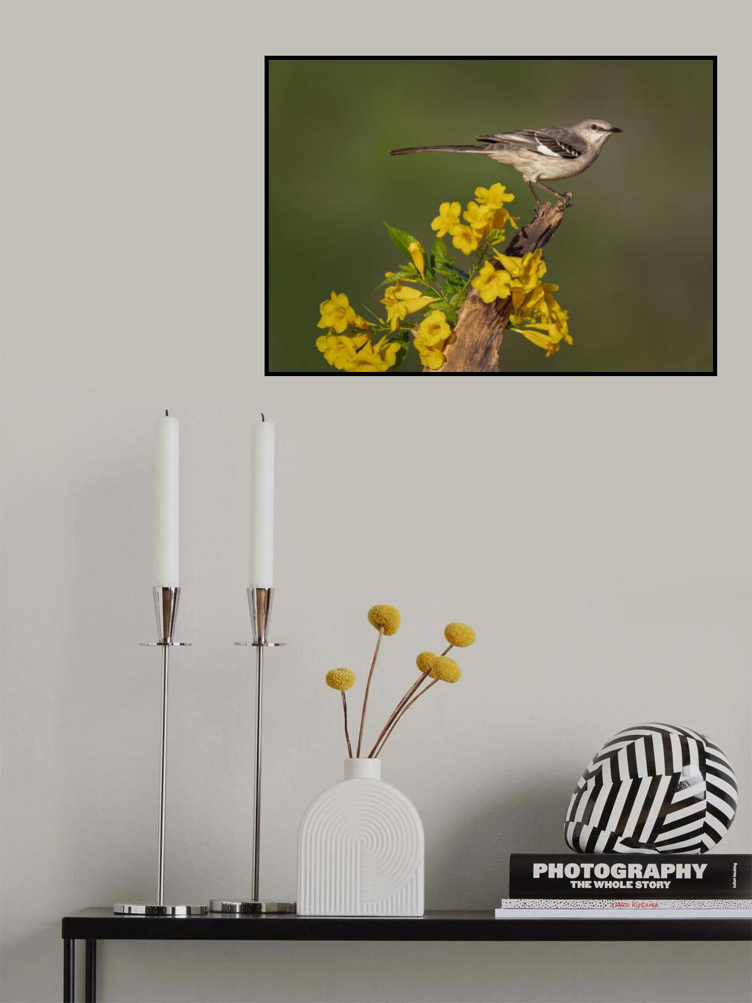 South Texas Poster och Canvastavla