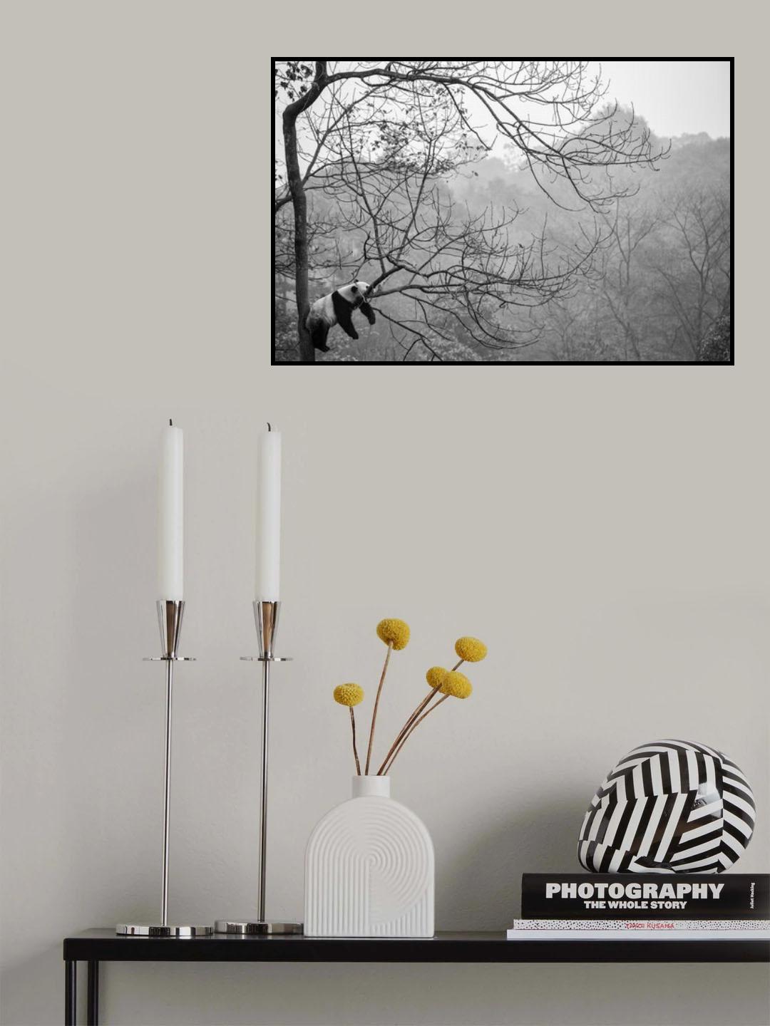 Relax Poster och Canvastavla