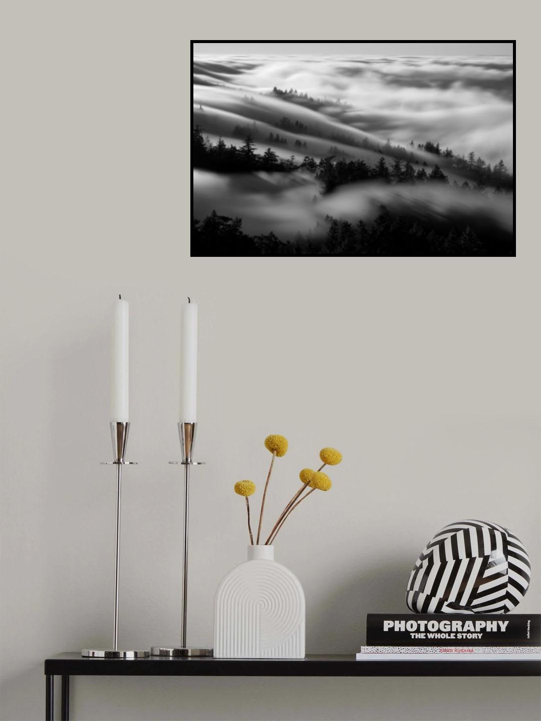 Bathing in the fog Poster och Canvastavla