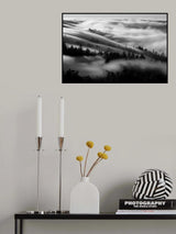 Bathing in the fog Poster och Canvastavla