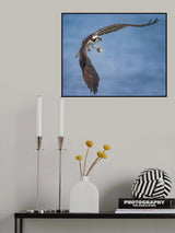 Arched Wings Poster och Canvastavla