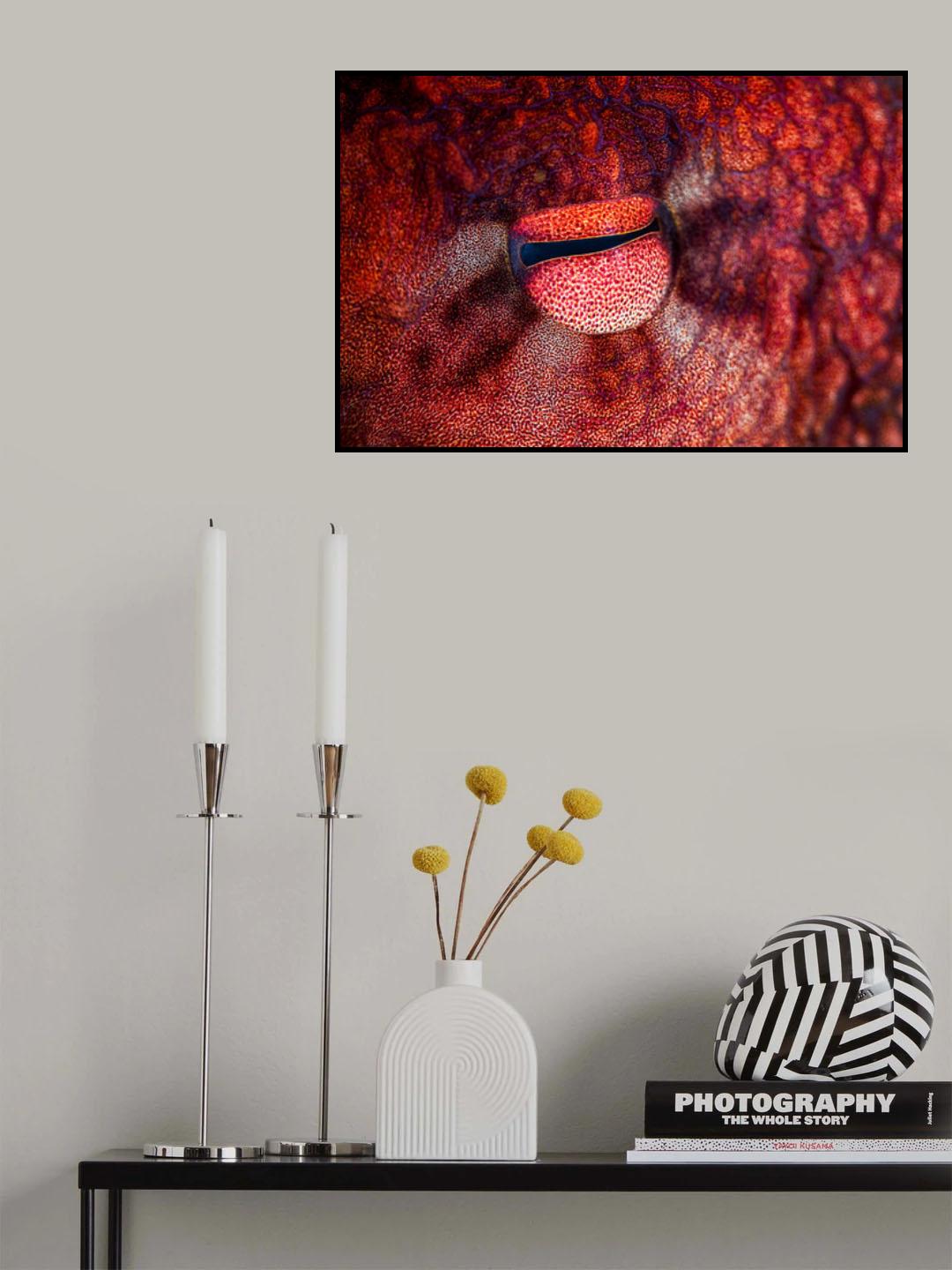 Octopus Eye Poster och Canvastavla