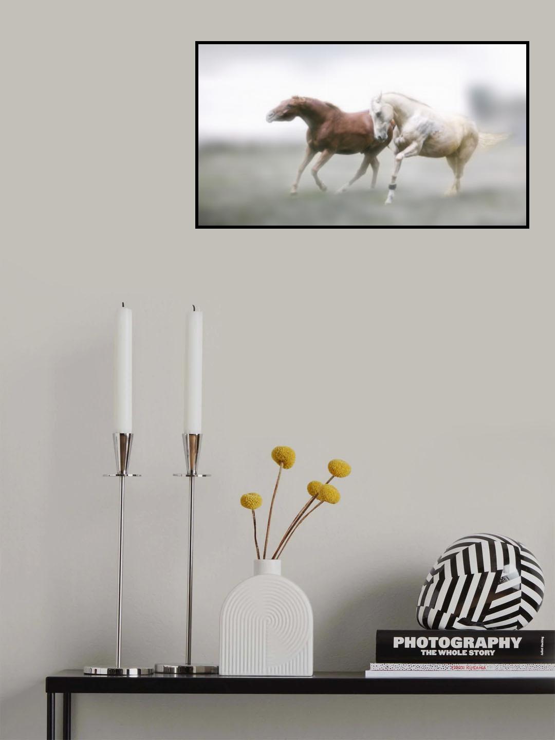 Companion Poster och Canvastavla