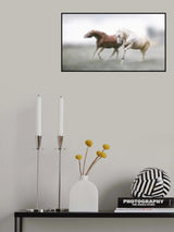Companion Poster och Canvastavla