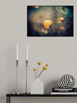 Spring Poster och Canvastavla