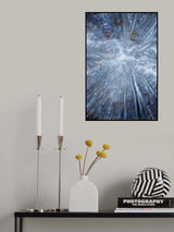 Colours of Autumn Poster och Canvastavla