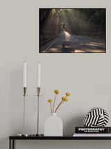 Back Poster och Canvastavla