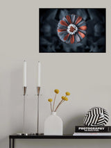 strange flower Poster och Canvastavla