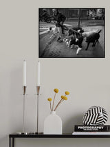 Dog walker and his dogs Poster och Canvastavla