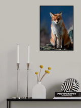 Are you my friend or not? Poster och Canvastavla