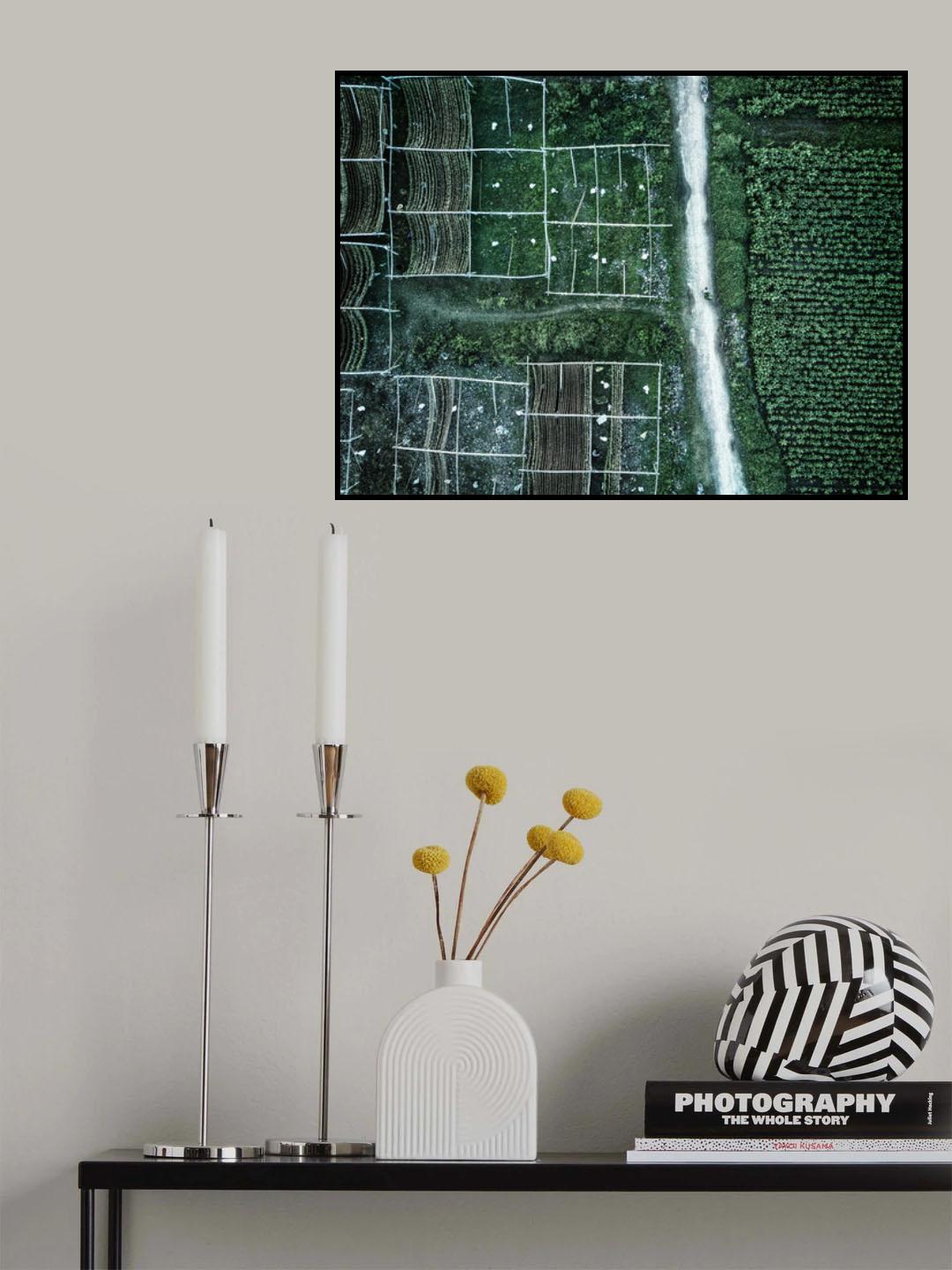 Land of idyllic beauty Poster och Canvastavla