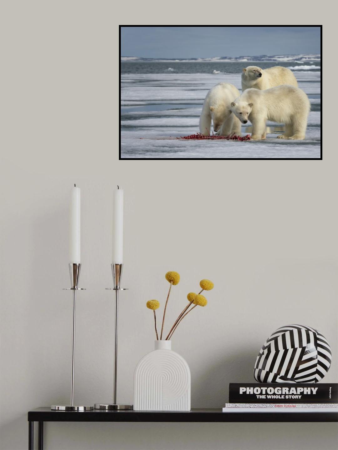 Mother with cubs Poster och Canvastavla