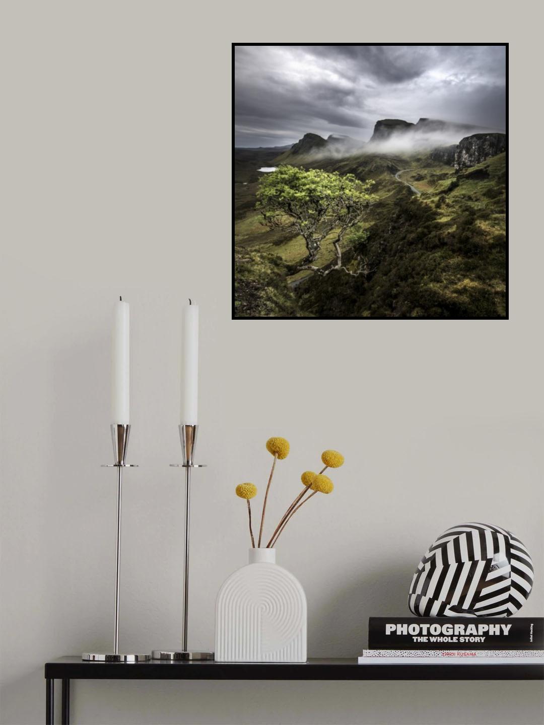 Quirange Poster och Canvastavla