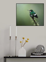 Discosura conversii Poster och Canvastavla