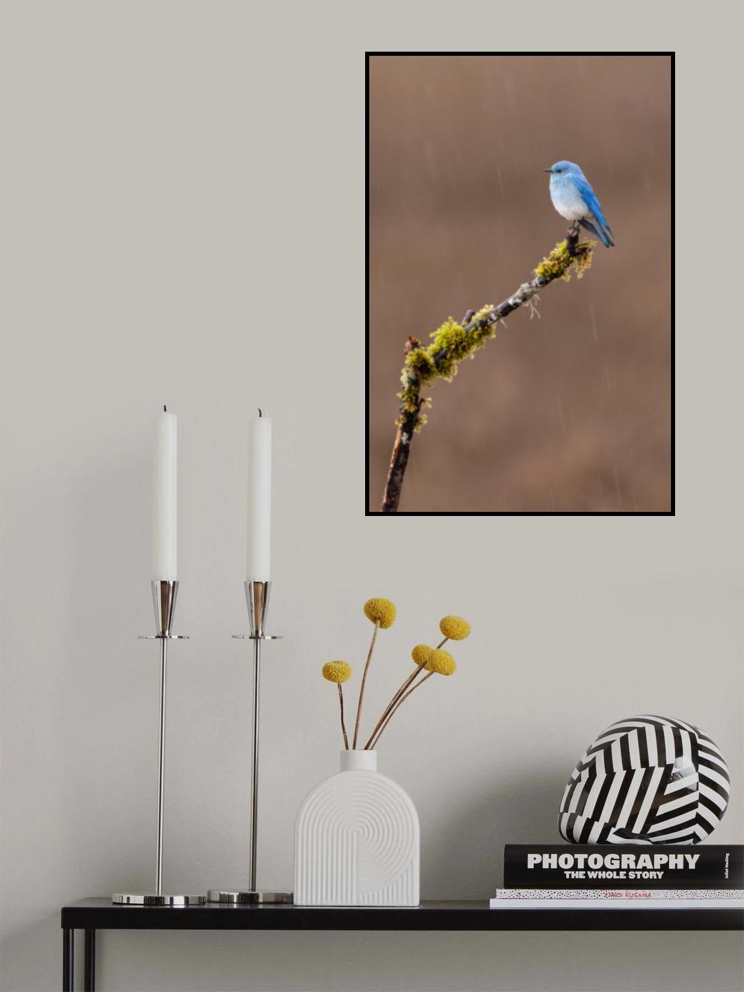 Raining Day Poster och Canvastavla