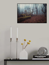 A foggy autumn forest morning Poster och Canvastavla