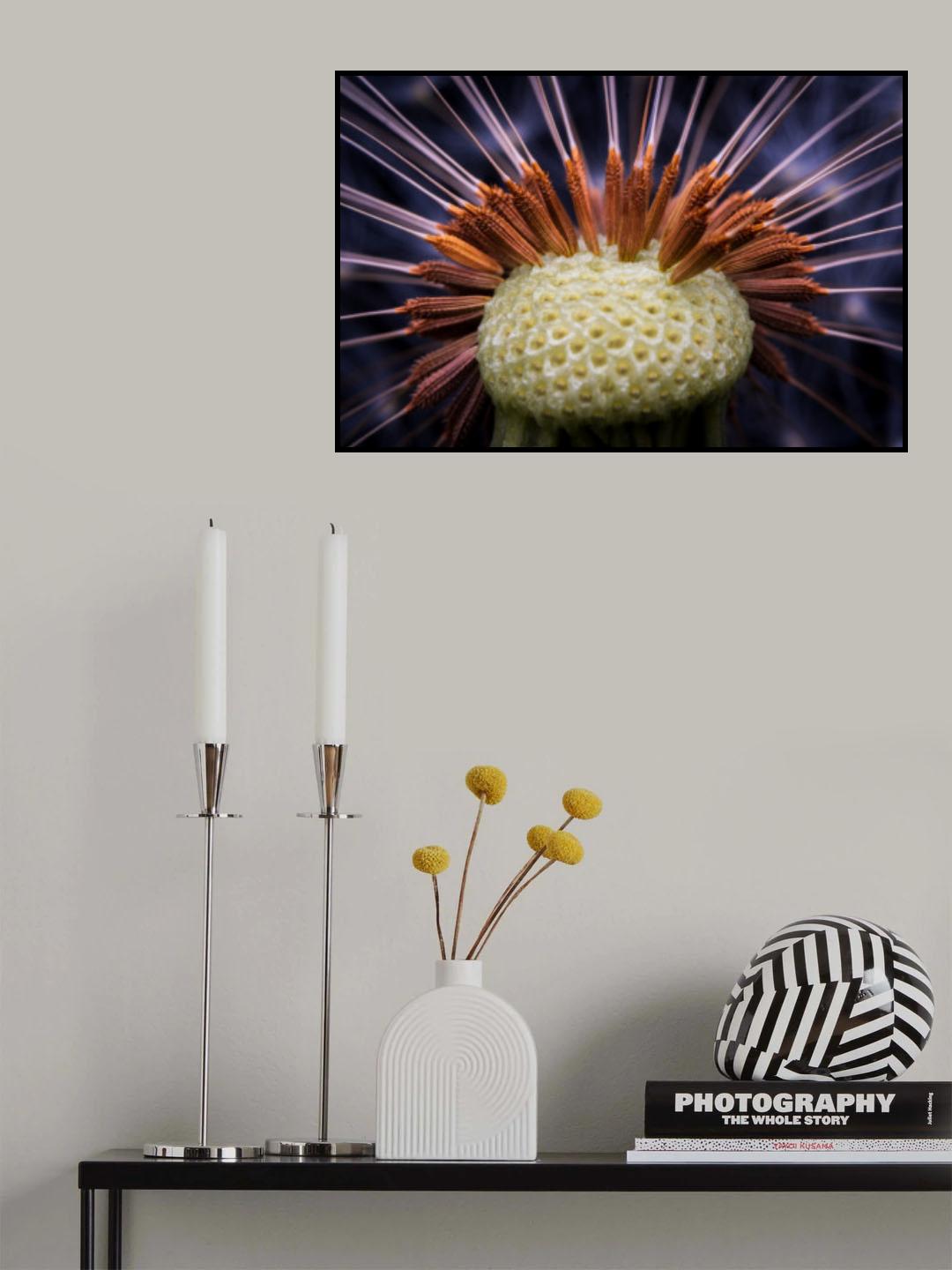 Inside dandelion Poster och Canvastavla