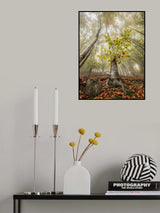 Autumn in Llancers Poster och Canvastavla