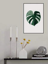 Monstera Natural 24 Poster och Canvastavla