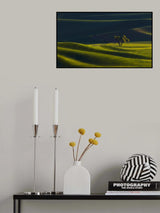 Twin Oaks Poster och Canvastavla