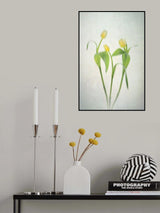 Yellow Tulips Poster och Canvastavla