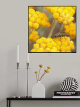 A piece of sun for dessert... Poster och Canvastavla