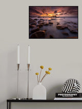 Turtle eggs Poster och Canvastavla