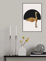 The Swan   Black Poster och Canvastavla