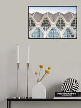 Facade waves Poster och Canvastavla