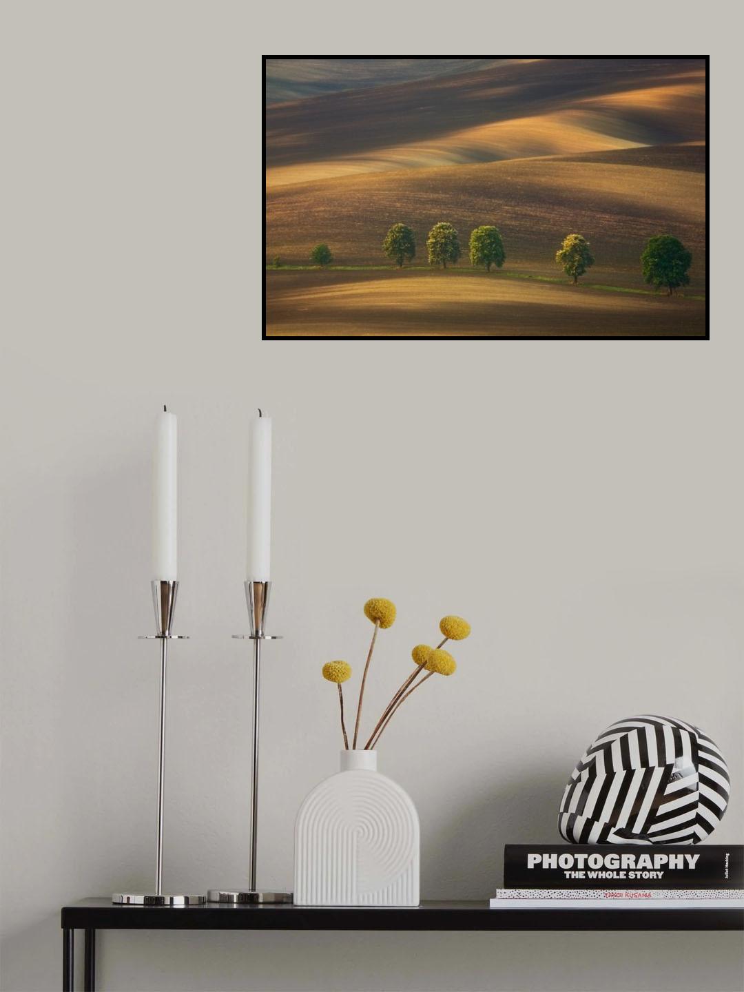 Line... Poster och Canvastavla