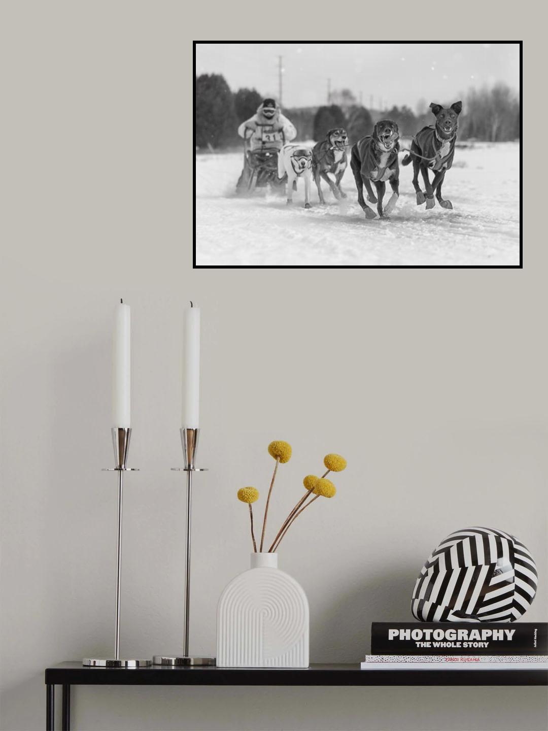 Run for first place Poster och Canvastavla