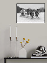 Run for first place Poster och Canvastavla