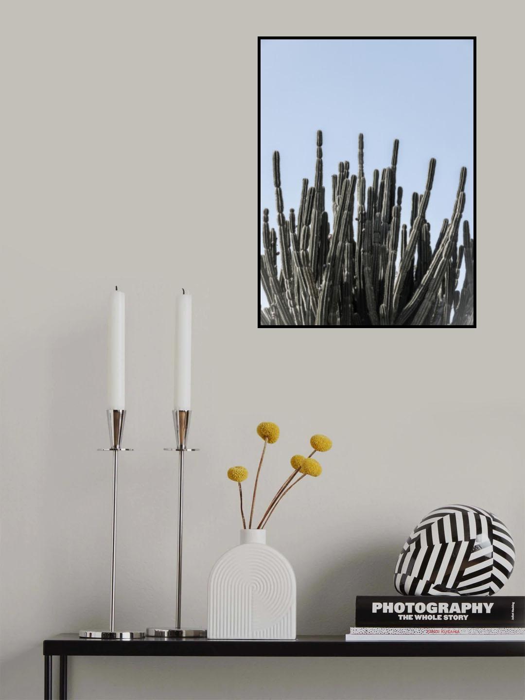 Kaktus Poster och Canvastavla