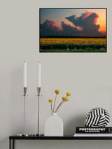 Before Sunset Poster och Canvastavla