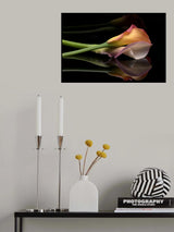 Reflected Poster och Canvastavla