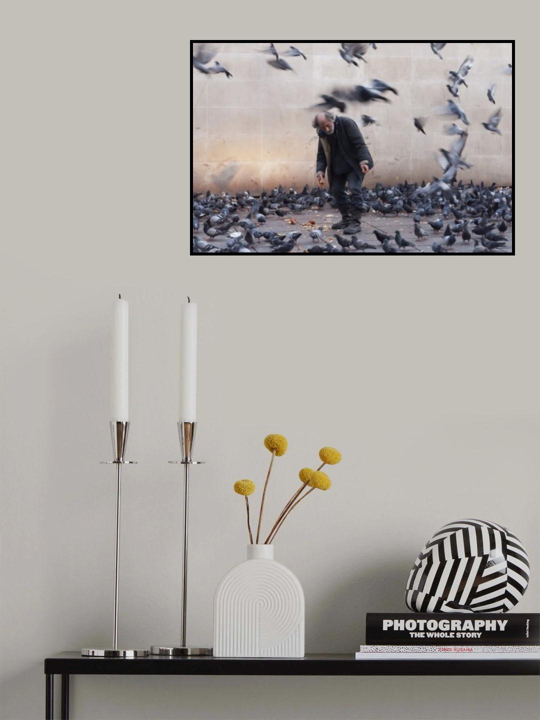 Lord of the pigeons Poster och Canvastavla