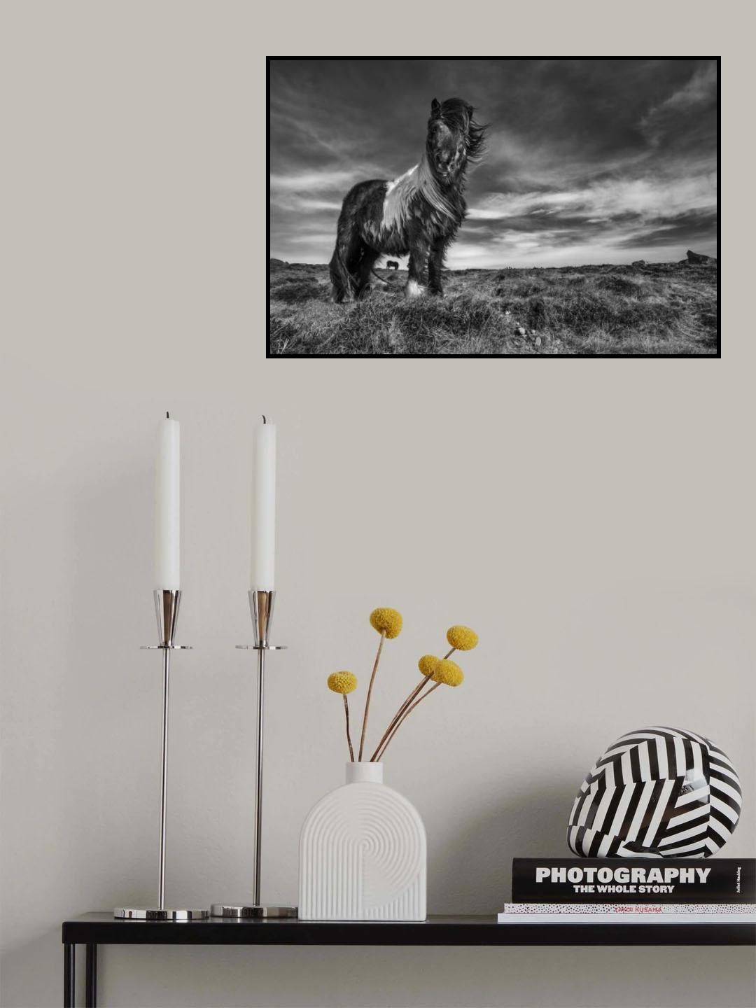 Two of a kind Poster och Canvastavla