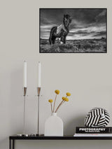 Two of a kind Poster och Canvastavla