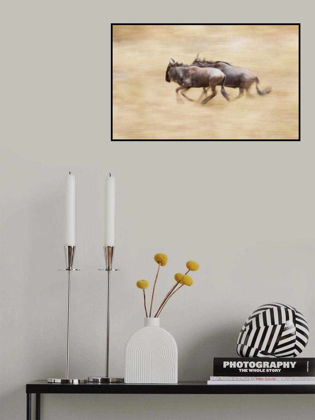 Wildebeests On The Run Poster och Canvastavla