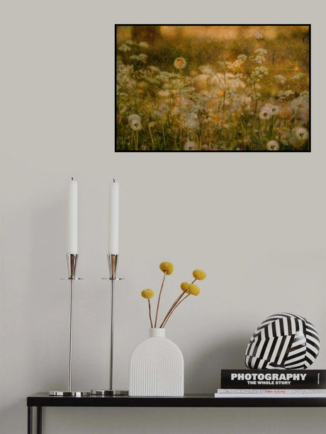 Dandelion Dreams Poster och Canvastavla