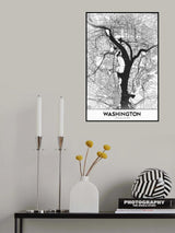 Washington Poster och Canvastavla