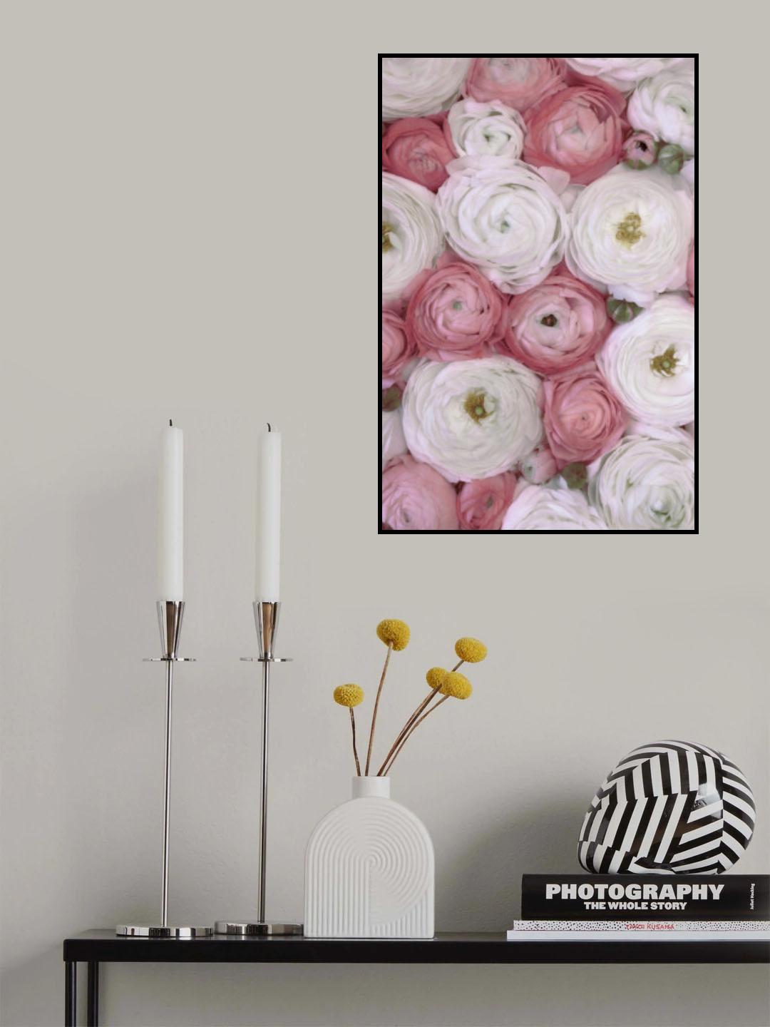 Scattered ranunculus in muted pink II Poster och Canvastavla