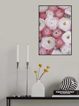 Scattered ranunculus in muted pink II Poster och Canvastavla
