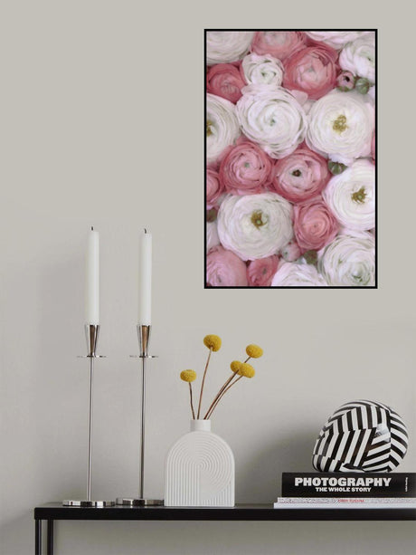Scattered ranunculus in muted pink II Poster och Canvastavla