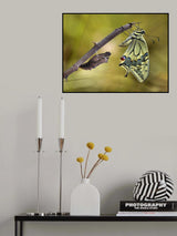 The emergence Poster och Canvastavla