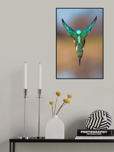 Aerodynamics II Poster och Canvastavla