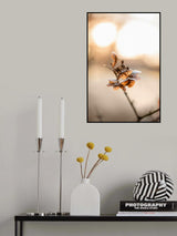 Hydrangea 4 Poster och Canvastavla